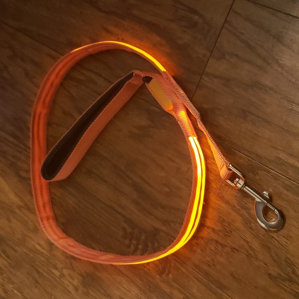 Glow in the dark leash